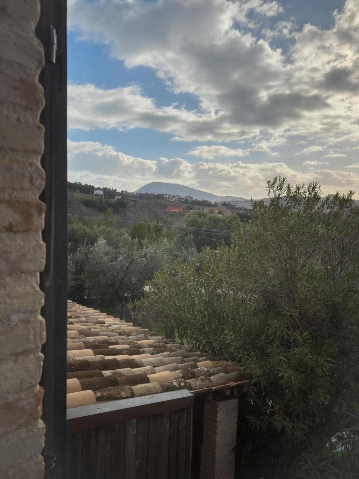 L'Oasi Del Conero - Casa Con Giardino Villa Ancona Eksteriør billede